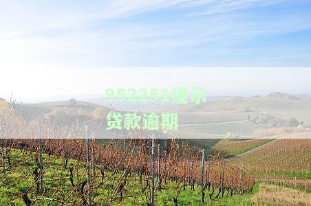 952251提示贷款逾期-952251提示贷款逾期,我记得没有借钱过