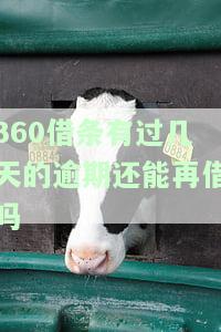 ：逾期几天还能再借？安全吗？知乎探讨