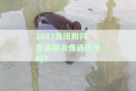 2023美团和抖音逾期是否会爆通讯录？原因解析