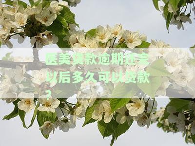 医美贷款逾期后多久能再贷款购房？逾期影响解析