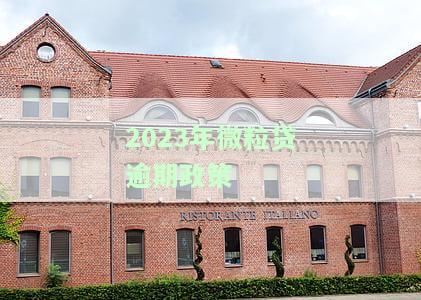 2020年微粒贷逾期的人现在有多少，探究2020年微粒贷逾期人数现状，你还欠多少钱？