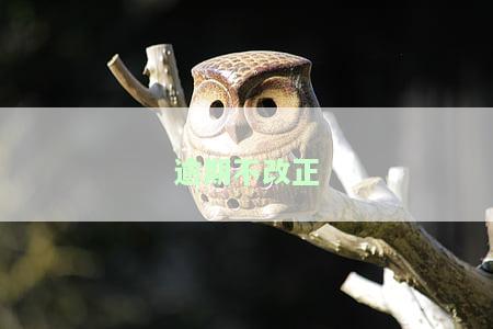 逾期不改正的处2000元以上多少元以下罚款，对逾期不改正行为实罚款，最高可达多少元？