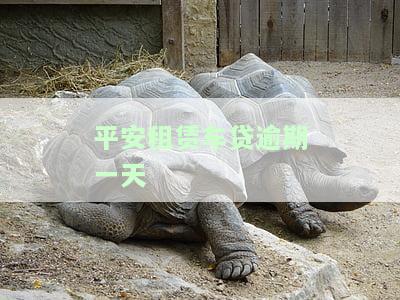 平安租赁车贷逾期，车被开走如何处理？需付拖车费吗？收车后还需还款吗？