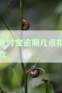 支付宝逾期几点扣款的，了解支付宝逾期扣款时间：你需要知道的关键信息