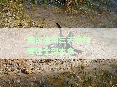 美团逾期三天通知要还全部本金