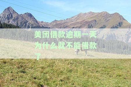 美团借款逾期一天为什么就不能借款了