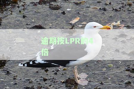 逾期利息lpr，逾期还款？别担心，LPR帮你计算利息！