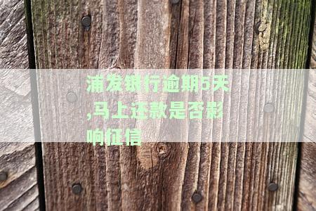 浦发银行逾期5天,马上还款是否影响征信