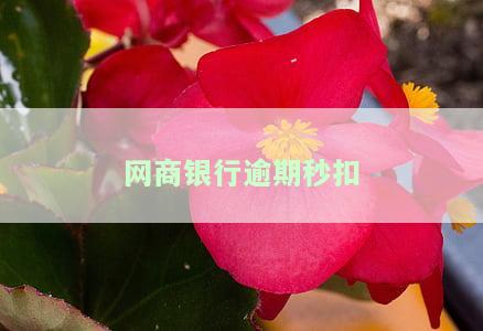 网商银行逾期多久交给第三方催款平台，网商银行逾期多久会转交至第三方催收机构？