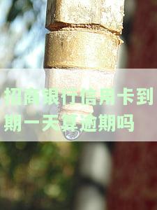 招商银行信用卡到期一天算逾期吗？怎么办？ -13天到期