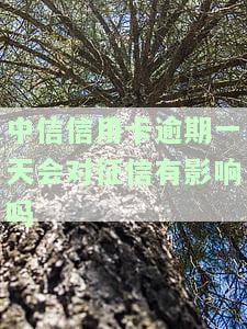 中信信用卡逾期一天会对征信有影响吗，中信信用卡逾期一天是否会影响个人征信？