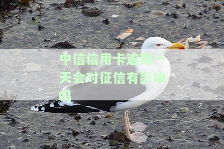 中信信用卡逾期一天会对征信有影响吗-中信信用卡逾期一天会对征信有影响吗知乎