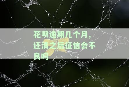 花呗逾期几个月,还清之后征信会不良吗