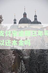 支付宝逾期3年，现在如何还清？