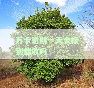 万卡逾期一天，第二天能主动还款吗？安全吗？