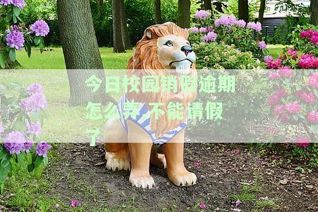 今日校园销假逾期怎么弄,不能请假了