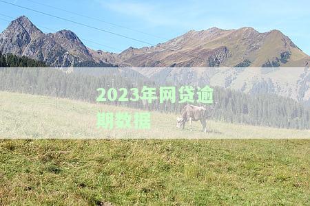 2021年网贷逾期人数统计：到底多少人未能按时还款？