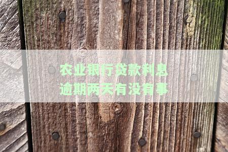 农业银行贷款利息晚还一天会怎么样，逾期一天还款：农业银行贷款利息有何影响？