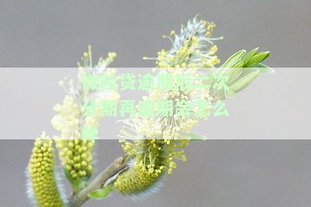 微粒贷逾期了可以申请二次分期吗，如何处理微粒贷逾期：是否可以申请二次分期？