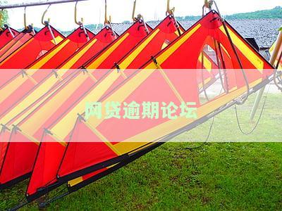 网贷逾期论坛交流，探讨网贷逾期：交流论坛分享经验与解决方案