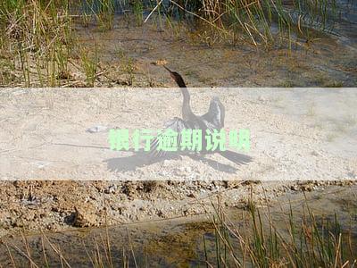 银行逾期说明本：如何撰写及示例图片