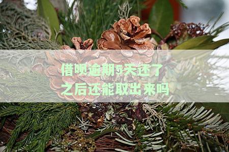借呗逾期5天还了之后还能取出来吗会怎样，借呗逾期5天还款后，能否再次取出？可能会有什么后果？