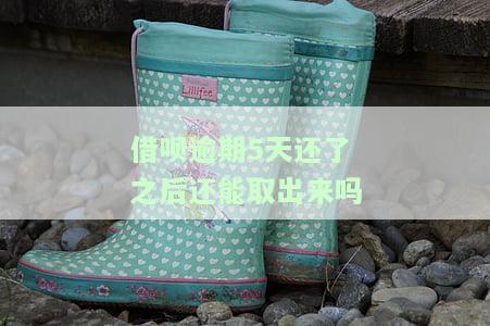 借呗逾期了五天才还款,还进去还能再借吗，借呗逾期5天还款后，能否再次借款？