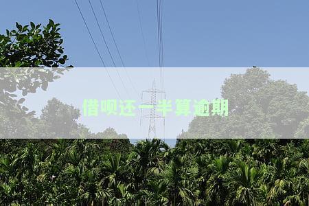 借呗还一半算逾期吗？影响信用记录吗？