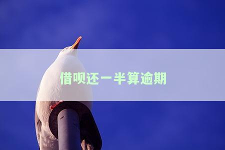 借呗还了一部分，剩下逾期未还，最是否需一次性偿还？