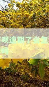 借呗逾期了会怎样？会影响贷款吗？知乎答案解析