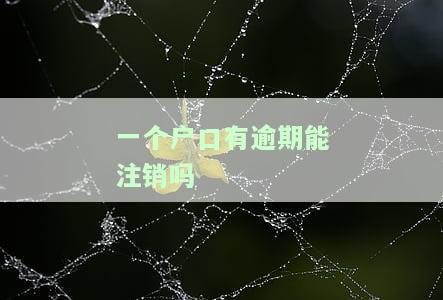 一个户口有逾期能注销吗？如何处理逾期情况？