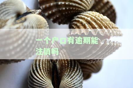 只有一个户口被注销了,以后如何办理？