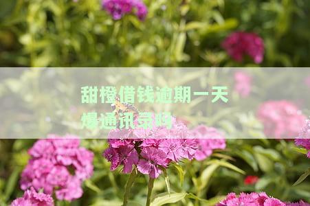 甜橙借款逾期了说不联系我了,要起诉我，甜橙借款逾期未还，客服称不再联系并将采取法律手追讨