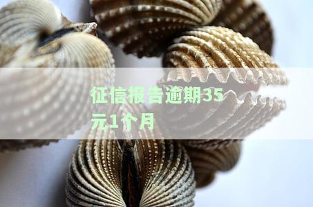 如何处理征信报告逾期35元/月的问题？
