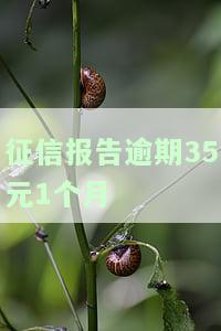 征信逾期金额30块钱，小额度逾期也能影响信用！你的征信逾期了30元，千万要注意！