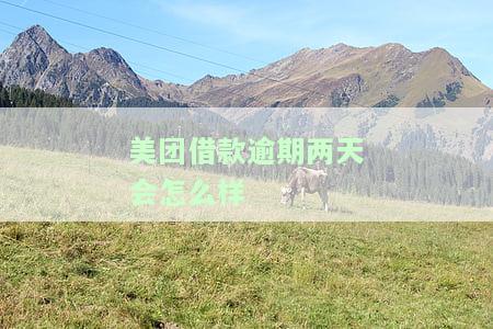 美团借款逾期两天会怎么样-美团借款逾期两天会怎么样吗