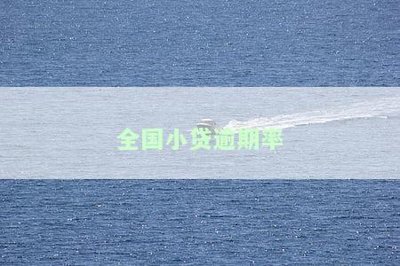 全国小贷逾期率是多少？请提供最新数据