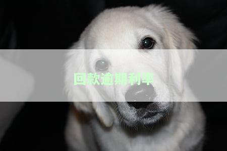 逾期还款的利率，未按时偿还贷款？了解逾期还款的利率影响！