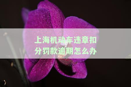 上海违章扣分罚款一览表，最新！上海交通违章扣分罚款全览表出炉