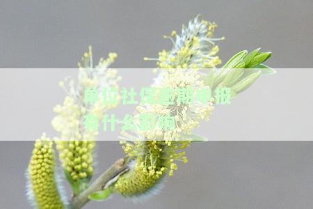 单位社保逾期申报有什么影响嘛，如何应对单位社保逾期申报的影响？