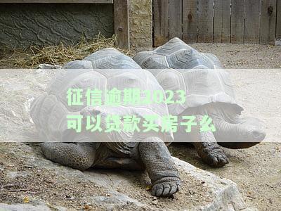 征信逾期2023可以贷款买房子么吗，2023年征信逾期是否影响购房贷款？