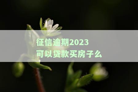 征信逾期2023可以贷款买房子么嘛，征信逾期2023年能否影响购房贷款申请？