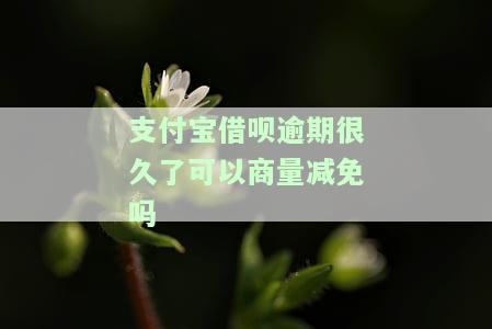 支付宝借呗逾期可以申请减免费用吗，支付宝借呗逾期能否申请减免费用？