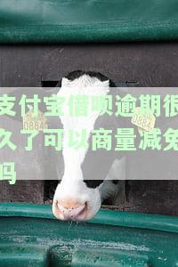 支付宝借呗逾期很久了可以商量减免吗-支付宝借呗逾期很久了可以商量减免吗