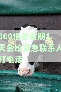 逾期1天会给紧急联系人打电话嘛，急！逾期1天，会否给紧急联系人打电话？