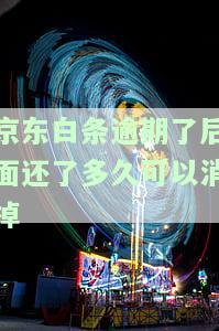 京东白条逾期了后面还了多久可以消掉