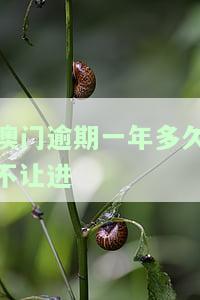 澳门逾期一年多久不让进