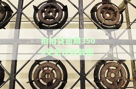 拍拍贷逾期3500免息还款截图是真的吗，真相揭示：'拍拍贷逾期3500免息还款截图'是否真实？