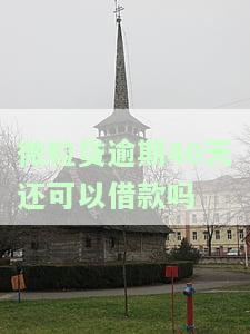 微粒贷逾期40天还可以借款吗-微粒贷逾期40天还可以借款吗
