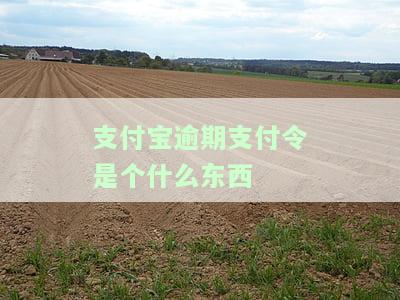 支付逾期是什么意思？影响及解决办法
